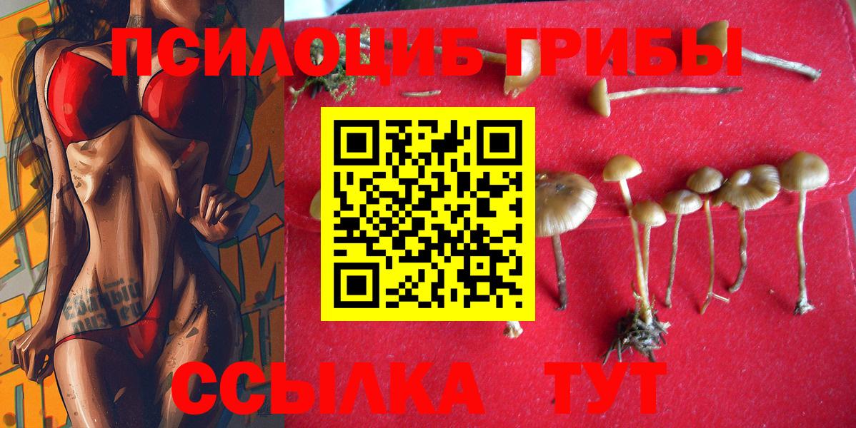 Псилоцибиновые грибы GOLDEN TEACHER Луховицы